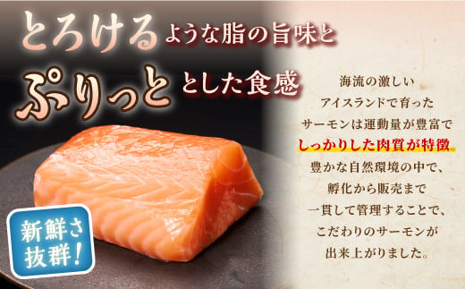 【TOWA SALMON】アトランティック サーモン 【800g】鮭 サーモン さけ シャケ しゃけ sake カルパッチョ ソテー レアステーキ 人気 高級 大満足 美味しい 贈答 生食用 刺身 お