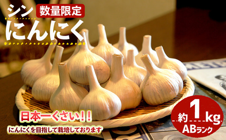 ＜7月上旬～9月中旬発送予定＞＜数量限定＞シン・にんにく(ABランク・約1kg) 国産 大阪 箕面 シンニンニク 乾燥ニンニク ガーリック 常温 野菜 香味野菜 料理 新登場 【m102-04】【トラキチ】
