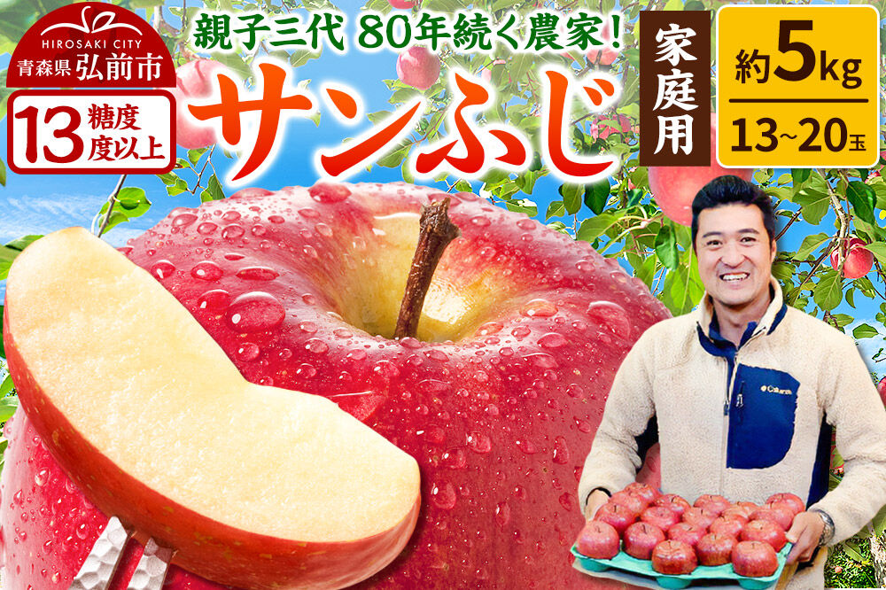 【寄附額見直しました】りんご 【糖度13度以上】サンふじ【家庭用】約5kg  13～20玉程度 津軽農園 [アップル おいしい ふじ りんご 果実 果物 青森 赤色 津軽 糖度 美味 林檎]