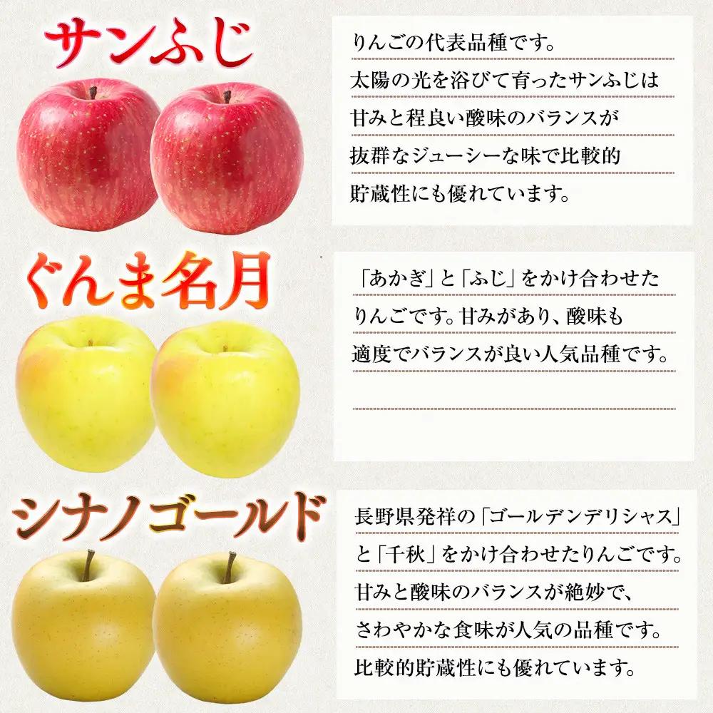 信州りんご・3種詰合わせ（サンふじ・シナノゴールド・名月）約5kg（12個～16個）｜ フルーツ
