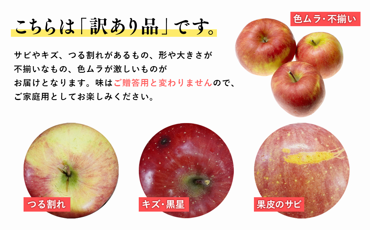 4月発送【訳あり】家庭用有袋ふじ約5kg【原田青果】りんご 林檎 リンゴ 果物 くだもの フルーツ 不揃い 規格外