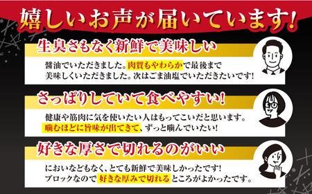 赤身 馬刺し（600g）　【五右衛門フーズ】[YBZ027]