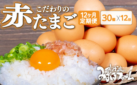 【卵 定期便12か月】京丹波の赤たまご 30個入 （割れ保証4個含む） (卵定期便12ヶ月 卵定期便 京卵定期便 たまご定期便)