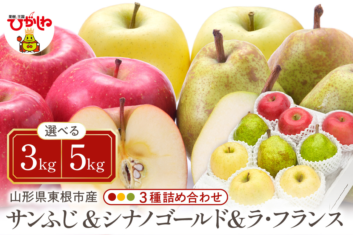 
            【令和7年産 先行予約】サンふじ&シナノゴールド＆ラフランス 詰め合わせ【3kg、5kg】東根農産センター提供 hi027-213-1-o
          