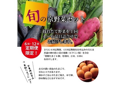 【6回定期便】旬の京野菜　毎月お届けレギュラーコース（全6回）＆『葉酸たまご』6個入り×1パック×3回分付 《野菜定期便 野菜詰め合わせ 野菜セット 京野菜 旬の野菜 新鮮野菜 有機野菜 減農薬 卵》