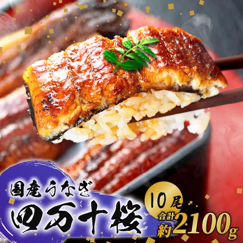 【通常用】極上国産うなぎ四万十桜 蒲焼き約210g✕10尾 | うなぎ 鰻 蒲焼き 国産 四万十鰻 白焼き 調理済み タレ付き ギフト（お歳暮/お正月）高級 お取り寄せ グルメ 食べ比べ 冷凍