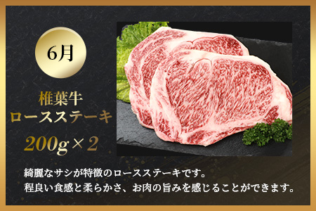 【定期便4回】総重量2.4kg！椎葉牛 大自然の中で味わう焼肉・BBQ定期便≪焼き肉・ステーキ・切り落とし・ローストビーフ≫