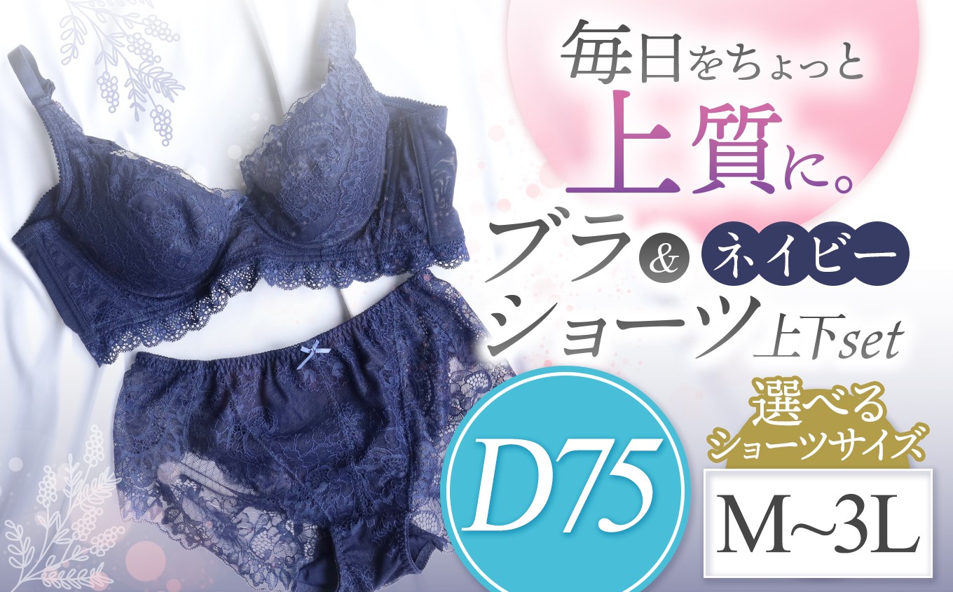 
            選べるショーツサイズ ブラ＆ショーツ 上下セット  ネイビー D75＆ショーツ M～3L | 女性用下着 レディース ブラ＆ショーツ ブラ ショーツ ネイビー 上下セット 君津市 きみつ 千葉県
          