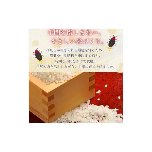 【9カ月定期便】ほたる米 5kg（茨城県共通返礼品・城里町産） / 米 こめ コメ お米 おこめ ほたる米 白米 精米 ごはん ご飯 令和7年産 5kg 定期便 茨城県 城里町 利根町