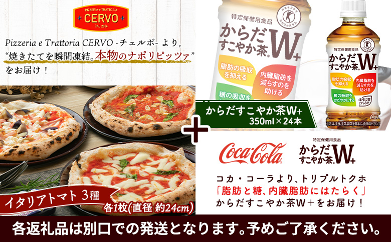 石窯ピッツァ 3枚 トマト3種 からだすこやか茶 350ml 24本 コラボ 返礼品 ピザ 石窯ピザ マルゲリータ マリナーラ ラザーニャ お茶 茶 トクホ 特定保健用食品 健康 ふるさと納税 北海道