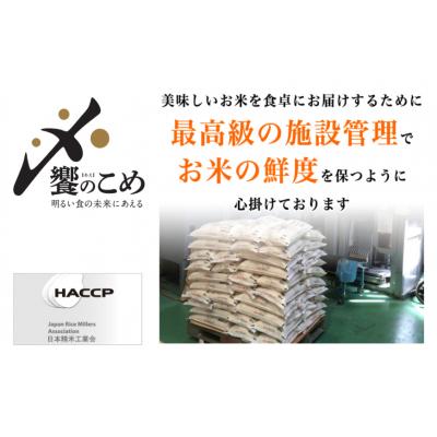 ふるさと納税 宝達志水町 米 無洗米 令和7年産 石川県産 ひゃくまん穀 10kg (5kg×2袋) [38601325] |  | 02