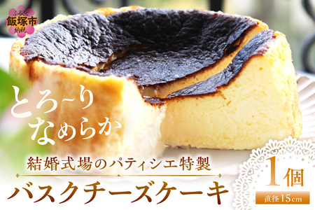 バスクチーズケーキ【A5-479】チーズケーキ とろ〜り スイーツ パーティー 記念日 バースデー 贈り物