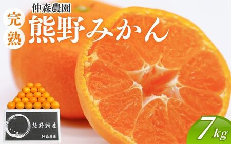 【12月25日受付終了】みかん 完熟 熊野みかん 7kg【nkmr0006A】