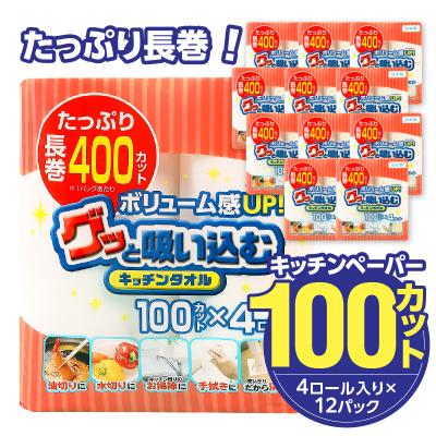 ふるさと納税 大分市 キッチンペーパー グッと吸い込むキッチンタオル100カット(4ロール×12パック)_R14030