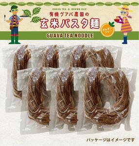 有機グアバ農園のグルテンフリー玄米麺 100g×6袋セット