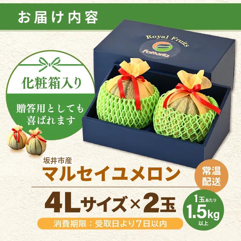 マルセイユメロン 4L 2玉 化粧箱入り 2027年6月中旬以降順次発送 メロン フルーツ 赤肉 贈答 ギフト [A-19107]