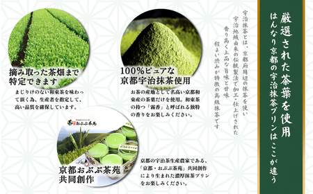 抹茶 プリン はんなり京都の宇治抹茶プリン 6個入 抹茶