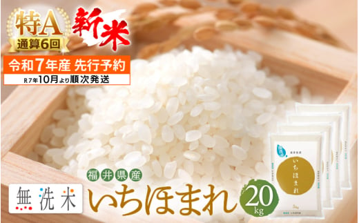 【新米・先行予約】令和7年産 無洗米 いちほまれ 20kg 特A通算6回！福井県産【お米 コメ kome 20キロ 精米 白米 便利 時短】【令和7年10月より順次発送予定】 [e27-d007_10]