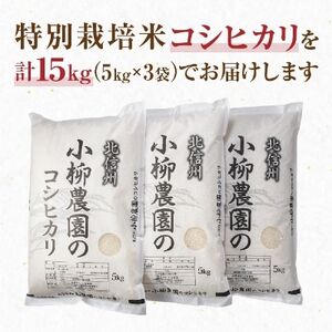 小柳農園の特別栽培米コシヒカリ15kg(5kg×3)【1204307】