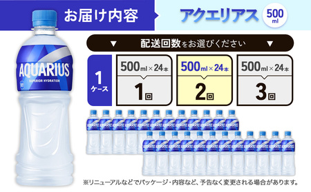 【2回定期便】アクエリアス 500ml PET × 24本 1ケース 毎月 2回 AQUARIUS スポーツドリンク スポーツ飲料 ペットボトル 熱中症対策 水分補給 コカ・コーラ Coca-Cola