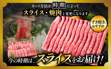【7月配送】【畜産農家応援】数量限定 厳選 宮崎牛 赤身 スライス 計1kg_CC79-25-07