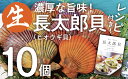 【ふるさと納税】ヒオウギ貝10個セット（ホタテの仲間）長太郎貝 アウトドア キャンプ 海鮮BBQ 魚貝 生 貝殻付 活 貝柱 酒蒸し バーベキュー BBQ 貝 海 ふるさとのうぜい 故郷納税 高知県 土佐清水市 返礼品【R00082】