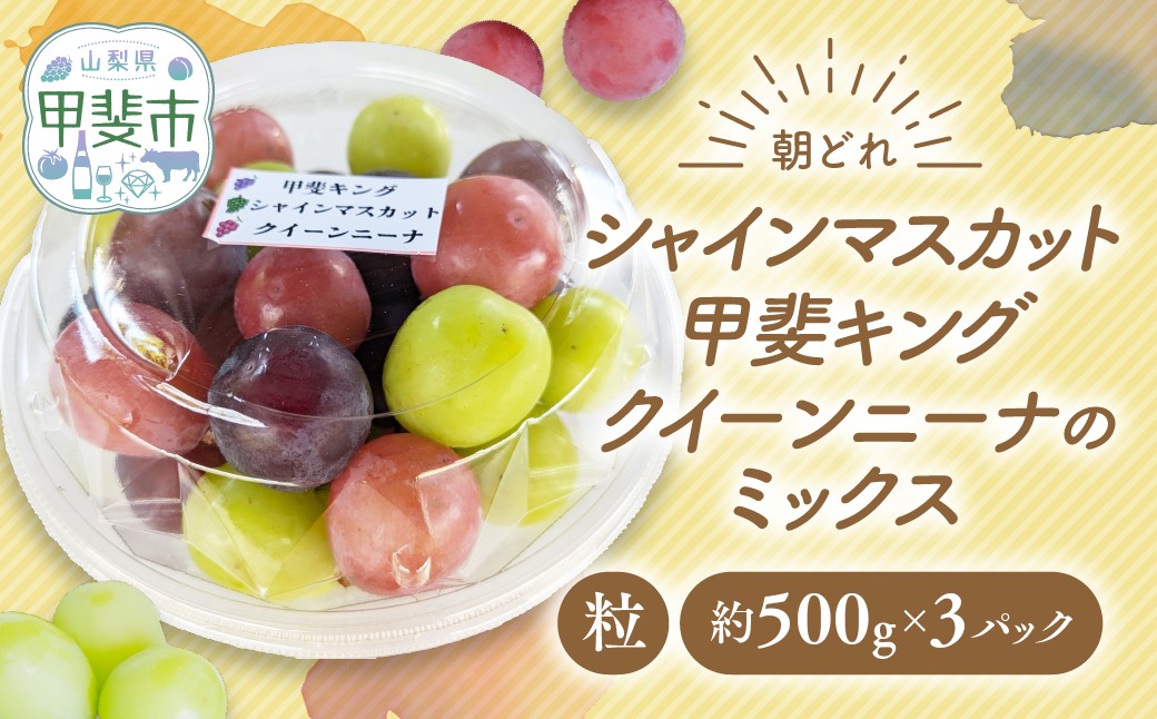 
                  【（2026年/令和8年）発送＜先行予約＞】【ご家庭用つぶつぶ】ぶどう3種　約1.5㎏　先行予約 先行 予約 山梨県産 産地直送 フルーツ 果物 くだもの ぶどう ブドウ 葡萄 シャイン シャインマスカット 新鮮 人気 おすすめ 国産 山梨 甲斐市 AV-39
                