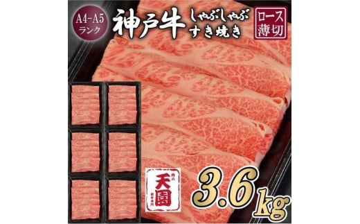 【定期便　全６回】【肉の天園】神戸牛 霜降り 肩ロース しゃぶしゃぶすき焼き600g×6ヶ月