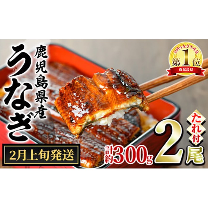 【0134332a-2602】＜2月上旬発送予定＞東串良町のうなぎ蒲焼(無頭)(2尾・計約300g・タレ、山椒付) うなぎ 高級 ウナギ 鰻 国産 蒲焼 蒲焼き たれ 鹿児島 ふるさと 人気【株式会社アクアおおすみ】