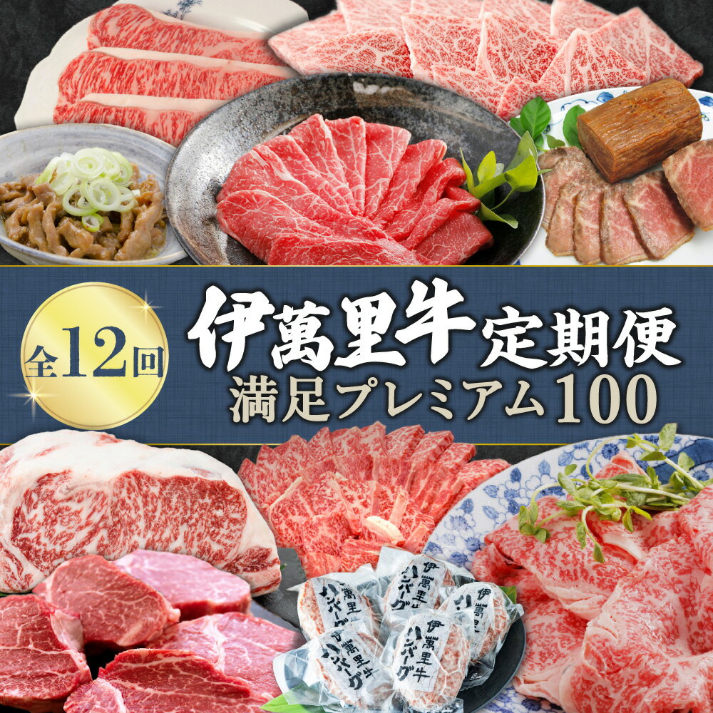 【ふるさと納税】伊万里牛満足プレミアム100 定期便【12回コース】 ヒレ ステーキ 焼肉 しゃぶしゃぶ 999-J1758【 伊万里牛 伊萬里牛 佐賀 ロース サーロイン ヒレ ステーキ ホルモン 国産 冷凍 ふるさと納税 定期便 肉 】