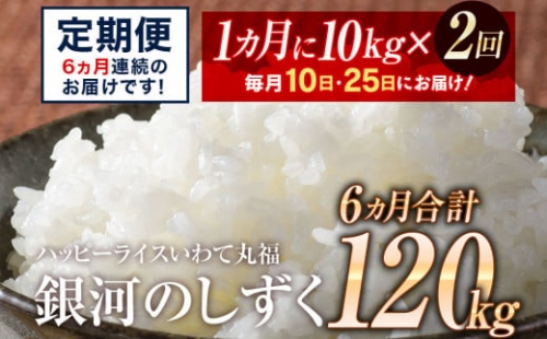 【定期便】大家族におすすめ！「銀河のしずく」毎月10日と25日にお届け　10㎏を月2回！6ヵ月計120kg