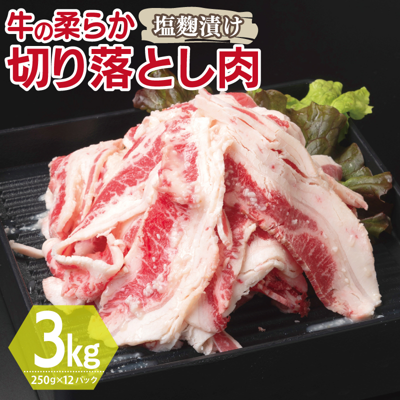 牛肉 切り落とし 塩麹漬け 合計3kg【味付け 小分け 焼くだけ 簡単調理 BBQ 牛肉 250g×12袋 普段使い】 099H3388