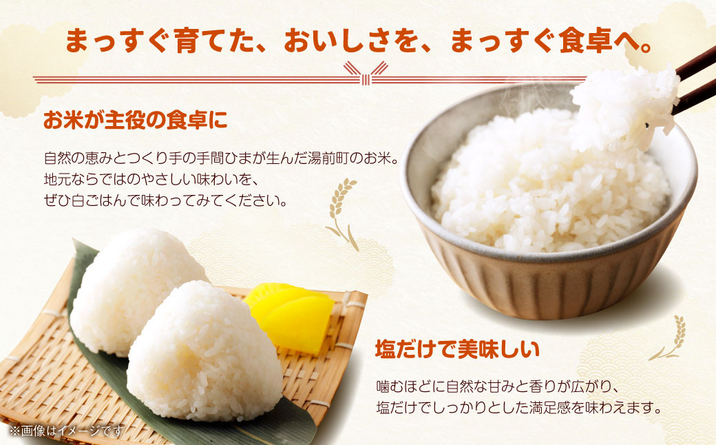 「訳あり」湯前町のお米 10kg