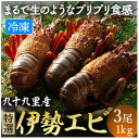 【ふるさと納税】 【4/15～発送開始】伊勢海老 刺身用 3尾 約1kg 九十九里 新鮮 刺し身 刺身 さしみ 真空 冷凍 リキッド凍結 伊勢 海老 旨味 甘み 鮮度 美味しい 贅沢 ご褒美 豪華 ギフト プレゼント 贈答 記念日 パーティー 食事会 お祝い 送料無料 不動丸 千葉県 旭市