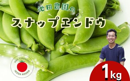 先行予約  野菜 スナップエンドウ 1kg / 野菜 エンドウ　池田農園