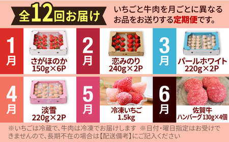 【先行予約】【12回定期便】産地直送！白石町産 いちごと牛肉の極上定期便 [IZZ015]