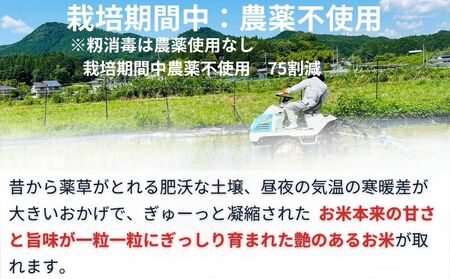 ひとめぼれ 低農薬栽培＜令和7年産 白米 8.5kg ＞ / ふるさと納税 低農薬 米 お米 こめ コメ 国産 新米 玄米 一等米 農家やまおか 奈良県 宇陀市
