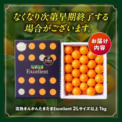 ふるさと納税 高千穂町 完熟きんかん たまたまエクセレント 1kg |  | 03