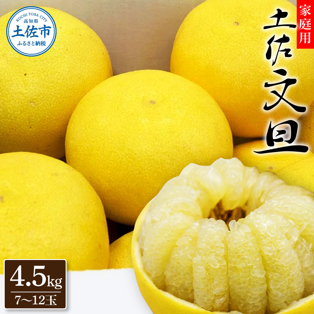 生産者直送　土佐文旦　4.5kg　[サイズおまかせ　2L～4L]　家庭用 文旦 柑橘 みかん フルーツ ぶんたん ブンタン 果物  お取り寄せ おいしい 美味しい 故郷納税 ふるさとのうぜい 返礼品 高知県 高知【2026年1月下旬より発送】