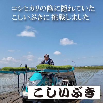 ふるさと納税 燕市 【8年産新米 先行予約】コシヒカリとはひと味違う美味しさ「こしいぶき」白米10kg(5kg×2袋) |  | 02
