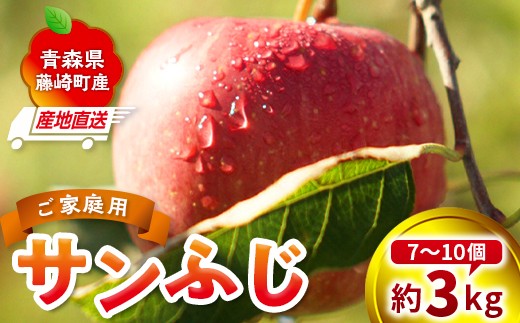 ＜産地直送＞ サンふじ 家庭用 約3kg （7～10個） りんご リンゴ 林檎 果物 フルーツ F41-0074