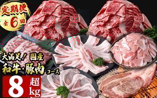 【定期便全6回】大満足！和牛・豚肉定期便(6ヶ月連続・総量8kg以上) 黒毛和牛 国産牛 九州産 豚 豚肉 肉 牛肉 国産 しゃぶしゃぶ 豚バラ 切り落し 大容量 人気 4等級 小分け 真空包装 t0088-003