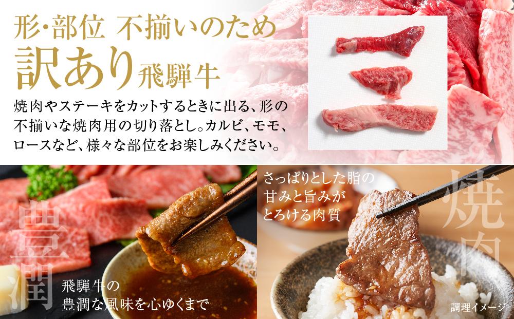 訳あり 飛騨牛 焼肉 切り落とし 600g 冷凍真空パック | 肉 お肉 切落し 不揃い 焼肉 焼き肉 やきにく 黒毛和牛 和牛 人気 おすすめ 牛肉 ギフト お取り寄せ【飛騨高山ミート MZ013】