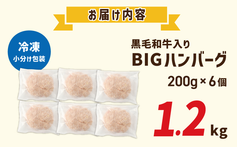 黒毛和牛入り BIGハンバーグ 200g×6個 005A657