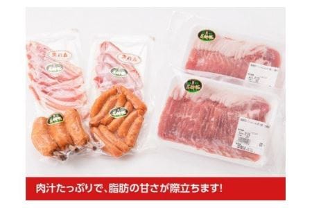 もう食べた？尾鈴豚セット【肉 豚肉 国産豚肉 宮崎県産豚肉 しゃぶしゃぶ ウインナー 豚肉バラエティ セット豚肉】