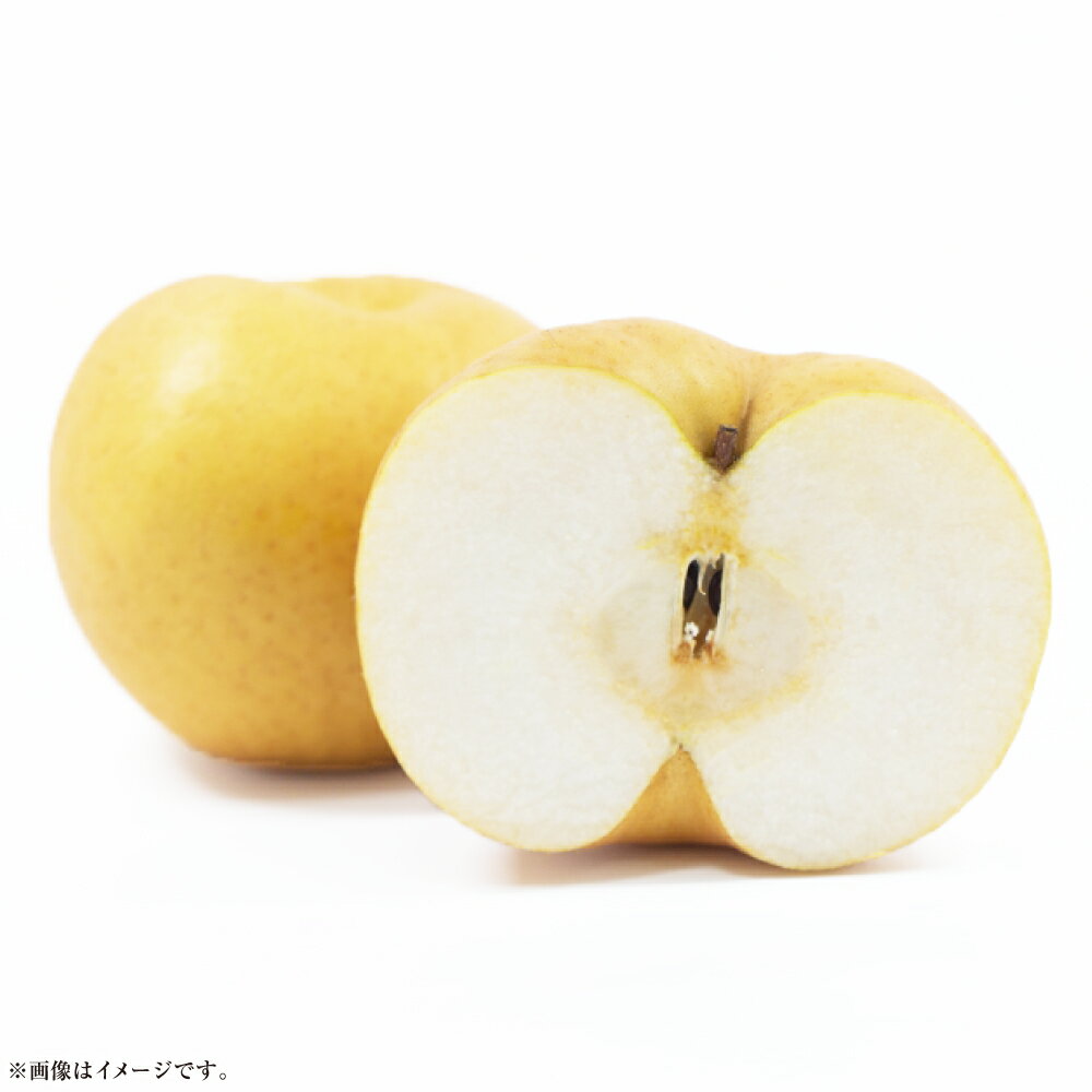 【ふるさと納税】《先行予約》あたご梨 4～7玉（約4kg） 化粧箱入り なし ナシ 岡山県産 国産 フルーツ 果物 ギフト　倉敷市【2025年11月下旬～12月下旬 発送予定】