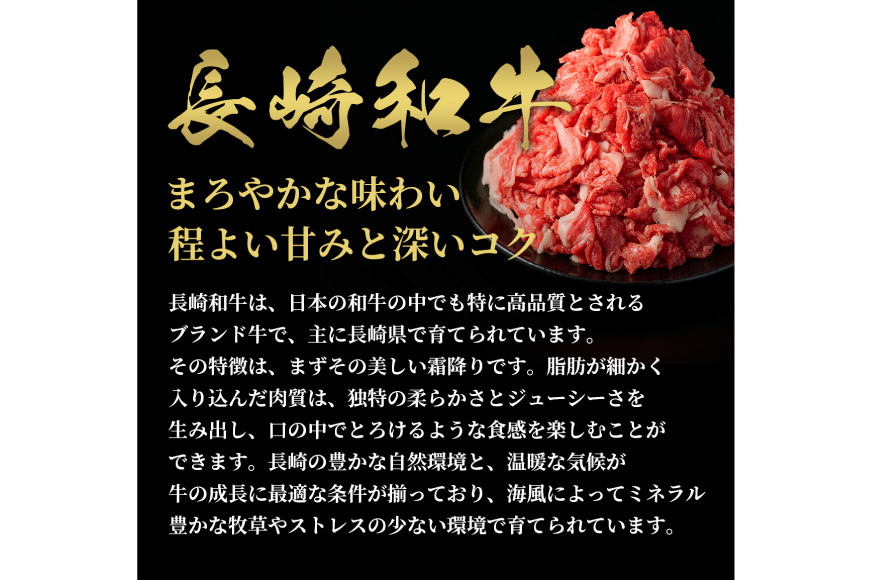 AI261 長崎和牛 すき焼き しゃぶしゃぶ 切り落とし 600g [ 肉 和牛 牛肉 Giverichホールディングス 長崎県 島原市 ]