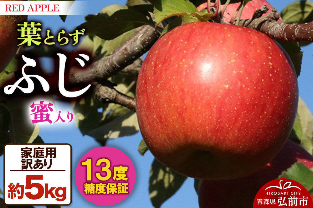 【26年12月発送】りんご 13度糖度保証【訳あり】家庭用 蜜入り 葉とらずふじ 約5kg 先行受付 [アップル おいしい ふじ りんご 果実 果物 赤色 糖度 美味 葉っぱ 葉とらず 林檎]