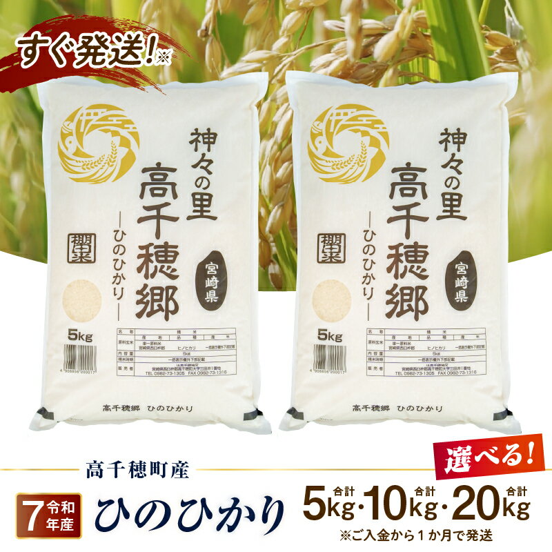 【ふるさと納税】【選べる内容量】《令和7年産　新米》高千穂地区 ひのひかり 米 お米 白米 ごはん 白飯 精米 ひのひかり 国産 宮崎県産 高千穂町産 単一原料米 農作物 農産物 おすそ分け 普段使い 炭水化物 主食 贈答 贈り物 プレゼント おすすめ 宮崎県 高千穂町 送料無料