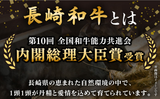 【全3回定期便】「希少部位 食べ比べ 」長崎和牛 贅沢3種の ステーキ Aセット 計3.3kg （約1.1kg/回）【黒牛】 [QBD056] ザブトン シャトーブリアン サーロイン 28万5千円 2